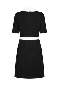 Light Black Collar Dress