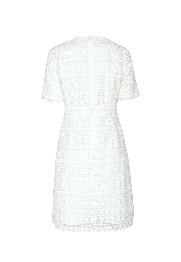 Light White Lace Dress