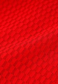 Light Red Lace Blouse